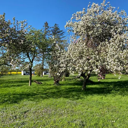 Feriengut Neuhof Lägenhet