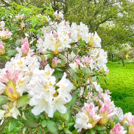 Feriengut Neuhof * Fehmarn