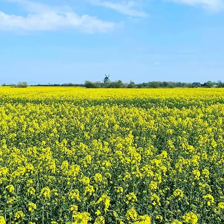 Feriengut Neuhof Apartman *