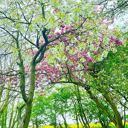 Feriengut Neuhof Apartman