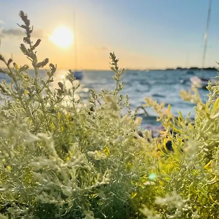 Apartman Feriengut Neuhof Fehmarn