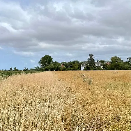 Feriengut Neuhof Appartement Fehmarn