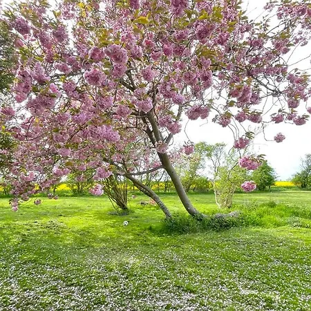 Apartman Feriengut Neuhof