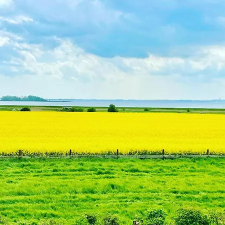 Lägenhet Feriengut Neuhof Fehmarn