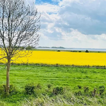 Apartman Feriengut Neuhof