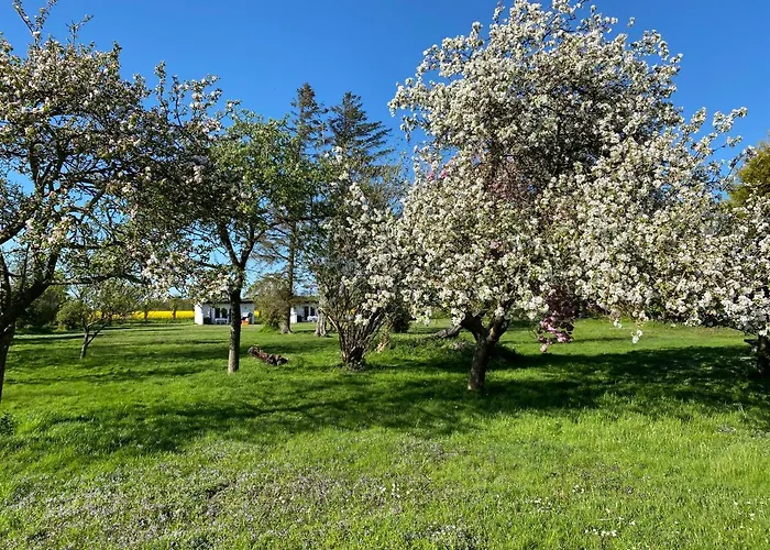 Feriengut Neuhof Διαμέρισμα