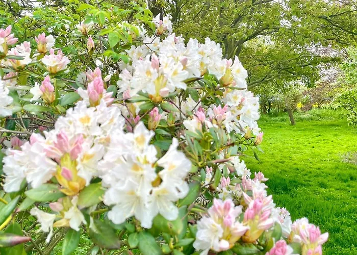 Feriengut Neuhof * Fehmarn