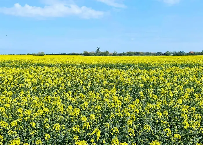 Feriengut Neuhof Appartement *