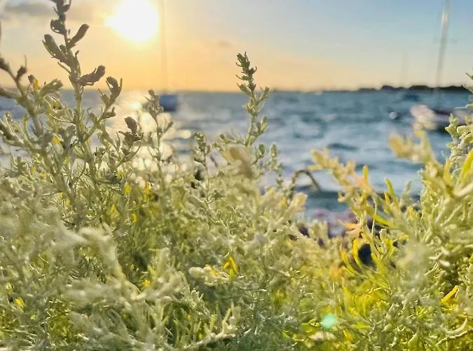 Appartement Feriengut Neuhof Fehmarn