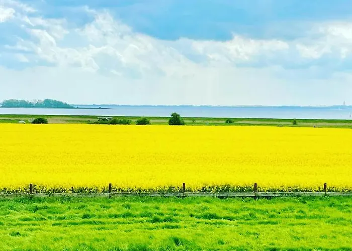 Appartement Feriengut Neuhof Fehmarn